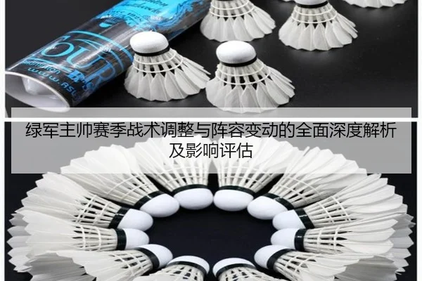 绿军主帅赛季战术调整与阵容变动的全面深度解析及影响评估 - CROWN